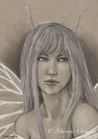 Silver Fairy